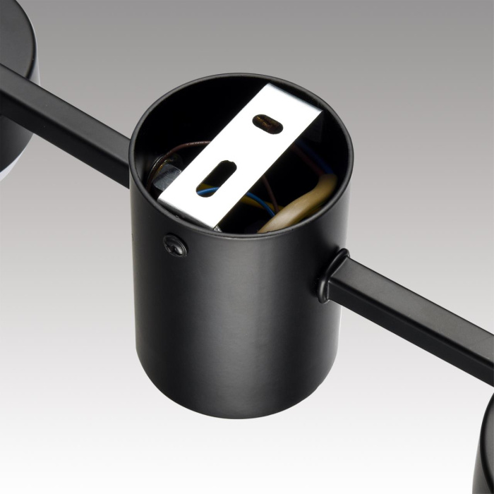 Накладная люстра Lumion Sanata 8187/6C