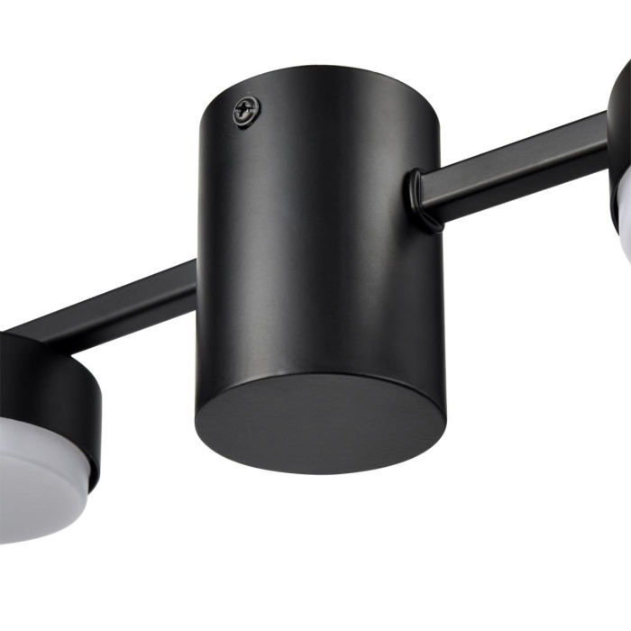 Накладная люстра Lumion Sanata 8187/6C