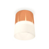 Комплект накладного светильника с акрилом Ambrella light XS8122011