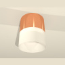 Комплект накладного светильника с акрилом Ambrella light XS8122011