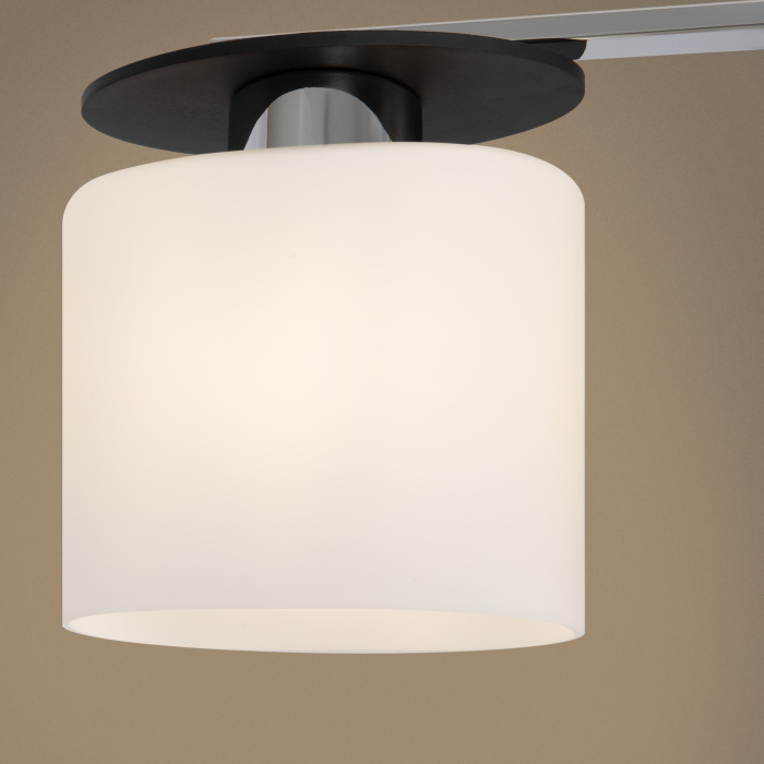 Потолочный светильник Freya Bice FR5101-CL-03-CN