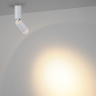 Потолочный светильник Odeon Light Ligo 7136/8CL