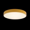 Светильник потолочный Loft it Axel 10002/24 Yellow