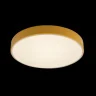 Светильник потолочный Loft it Axel 10002/24 Yellow