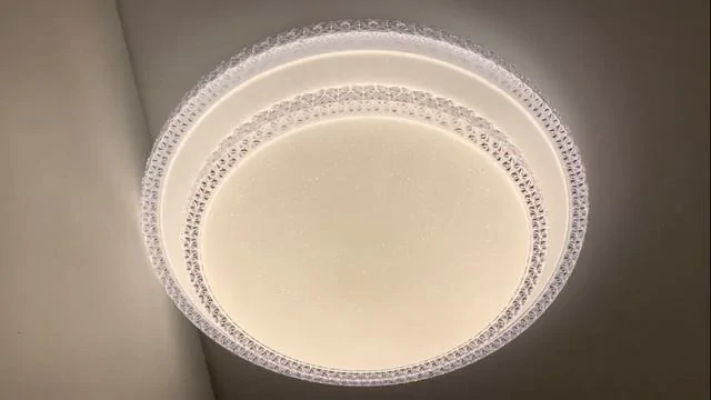 Настенно-потолочный светильник SONEX FLOORS 2041/DL