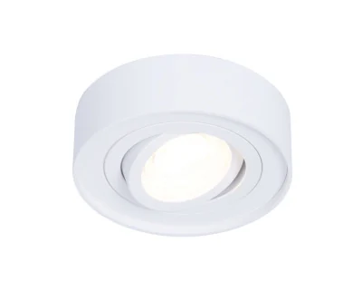 Точечный поворотный светильник MR16 Ambrella light TN150