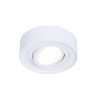 Точечный поворотный светильник MR16 Ambrella light TN150