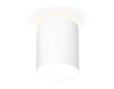 Накладной светодиодный точечный светильник Ambrella light TN261
