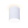 Накладной светодиодный точечный светильник Ambrella light TN261