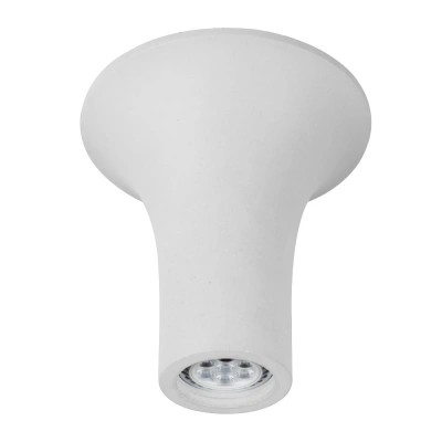 Потолочный светильник Arte Lamp A9461PL-1WH