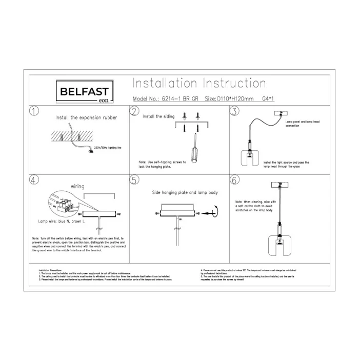 Светильник подвесной Belfast Pansy 6214-1 BR GR