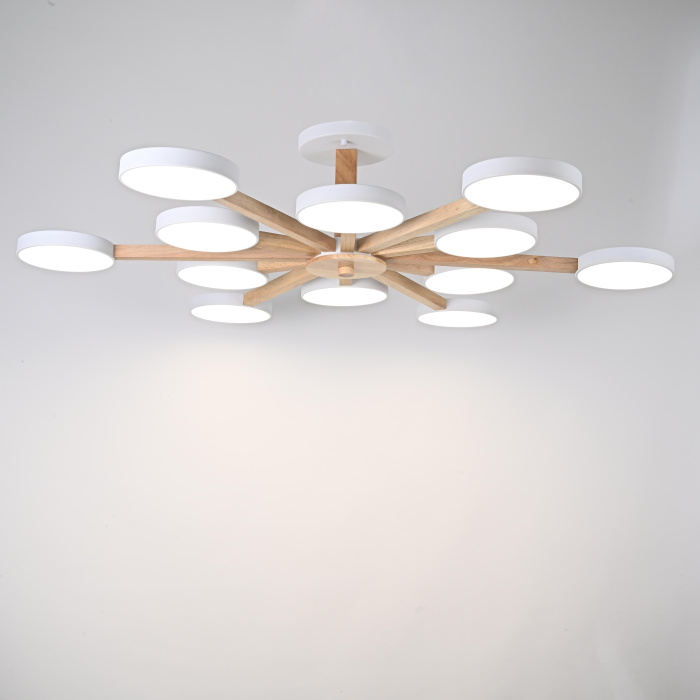 Потолочный светильник TURNA L12 White ImperiumLoft