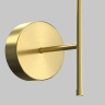 Настенный светильник Maytoni Elegant C085WL-L12BS2.7K