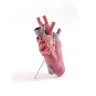 Ваза Seletti Love in Bloom 9923