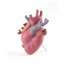 Ваза Seletti Love in Bloom 9923