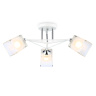 Потолочный светильник Ambrella light TR303071