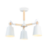 Потолочный светильник Ambrella Light Traditional TR82204