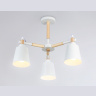 Потолочный светильник Ambrella Light Traditional TR82204