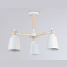 Потолочный светильник Ambrella Light Traditional TR82204