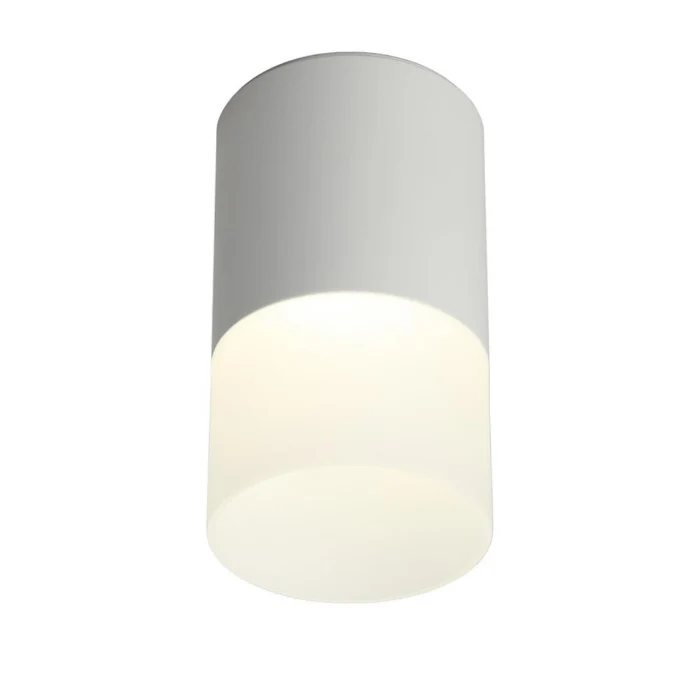 Светильник накладной Omnilux Ercolano OML-100009-05