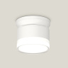 Комплект накладного светильника с акрилом Ambrella light XS8101047