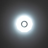 Светильник настенно-потолочный Citilux Диамант Смарт CL713A10G