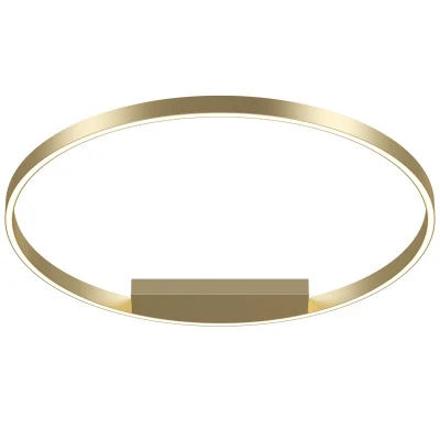 Потолочный светильник Maytoni MOD058CL-L50BSK