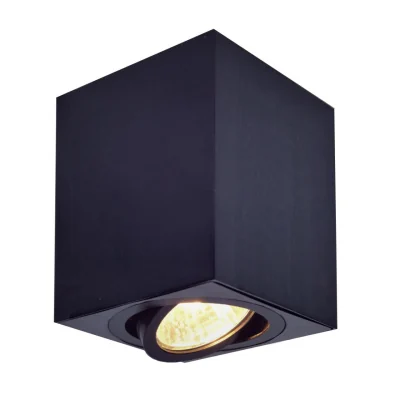 Светильник накладной поворотный Citilux Дюрен CL538213