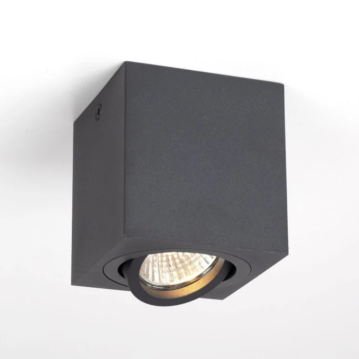 Светильник накладной поворотный Citilux Дюрен CL538213