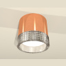 Комплект накладного светильника с композитным хрусталем Ambrella light XS8122020
