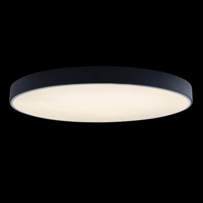 Светильник потолочный Loft it Axel 10002/48 Black