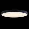 Светильник потолочный Loft it Axel 10002/48 Black