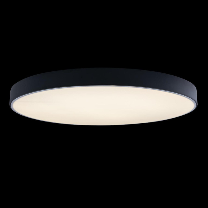 Светильник потолочный Loft it Axel 10002/48 Black