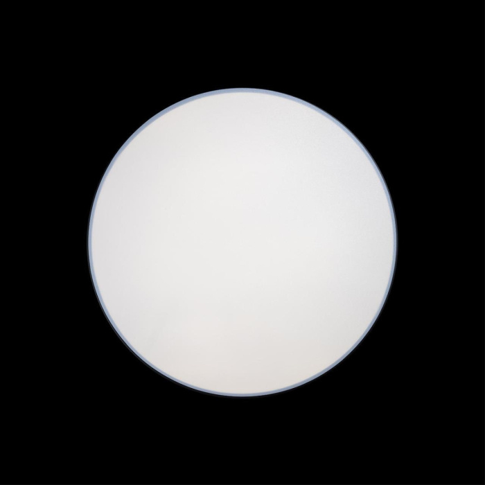 Светильник потолочный Loft it Axel 10002/48 Black