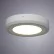Потолочный светодиодный светильник Arte Lamp Antares A7816PL-2WH