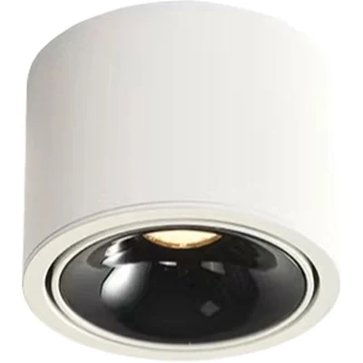 Светильник точечный накладной ALTAIR WERTMARK TECHNICAL WTA.O06.067.40.07