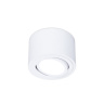 Накладной точечный светильник с врезным отверстием MR16 Ambrella light TN222