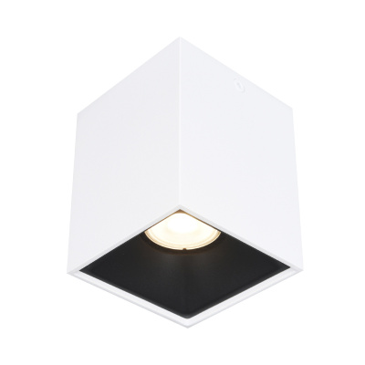 Накладной светильник ST LUCE ST168.542.01