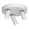 Спот Ledron SAGITONY R3 S40 Dim White