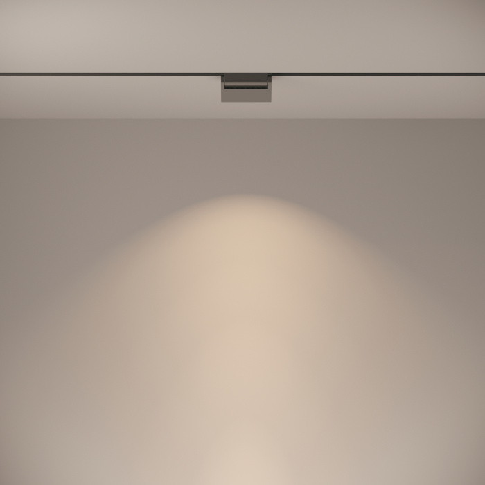 Трековый светильник Maytoni Basis Rot TR013-2-10W4K-B