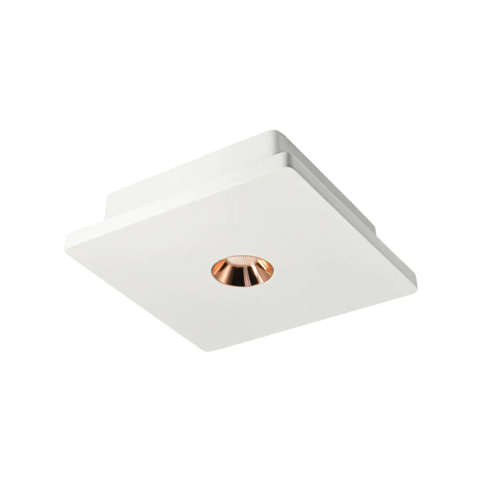 Потолочный светильник Loft it Architect OL1072-WG/1