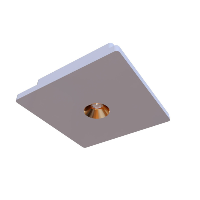 Потолочный светильник Loft it Architect OL1072-WG/1