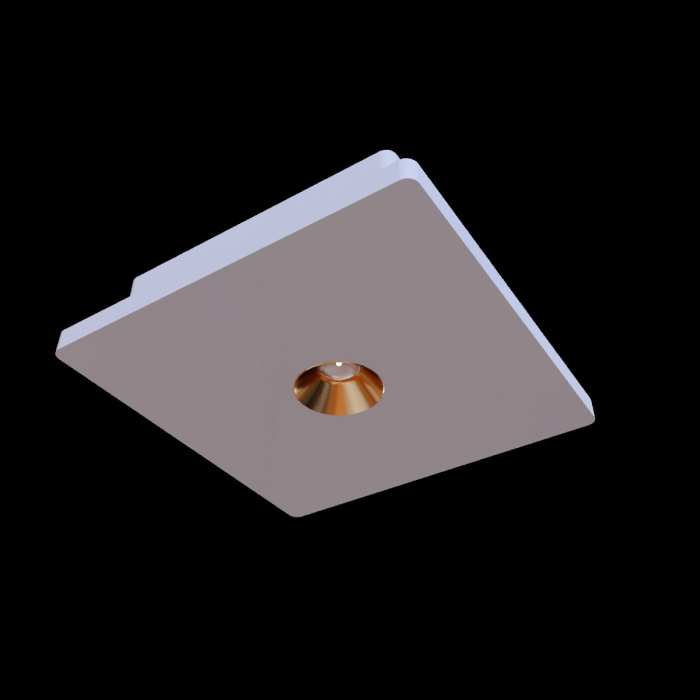 Потолочный светильник Loft it Architect OL1072-WG/1