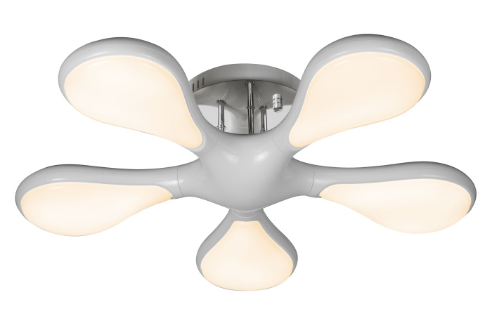 Потолочная люстра iLedex Lit FS-YYWF-006 80W WH