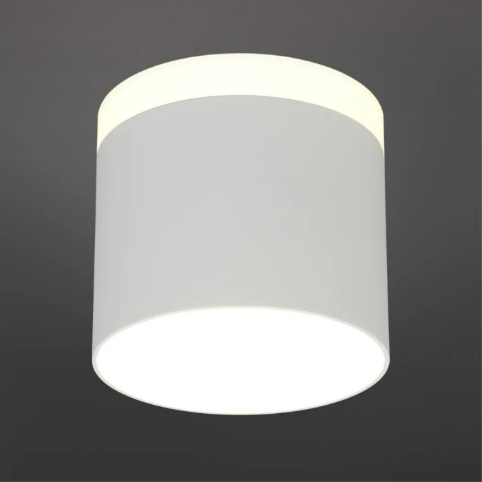 Светильник накладной Omnilux Tures OML-102309-16