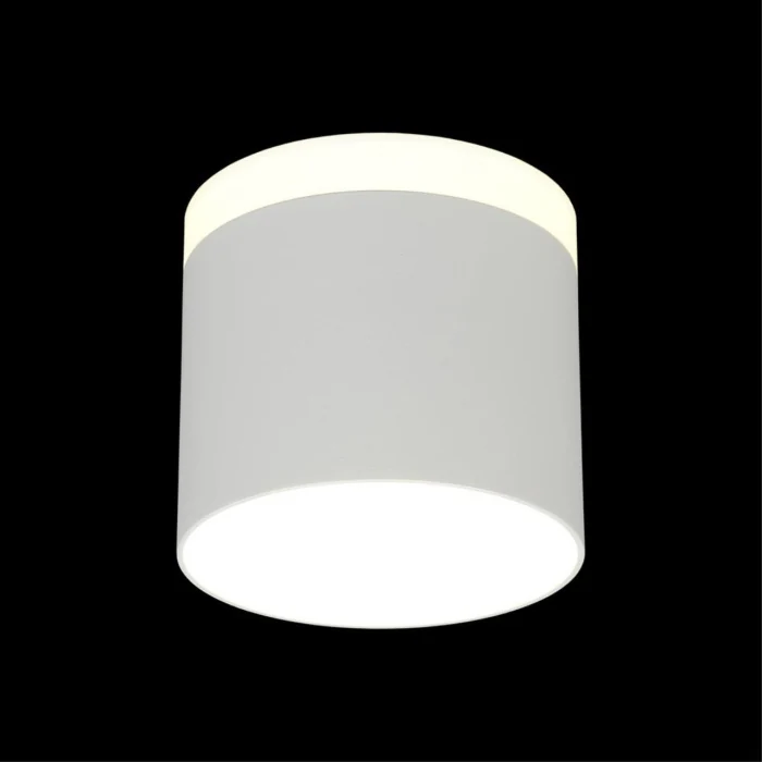 Светильник накладной Omnilux Tures OML-102309-16