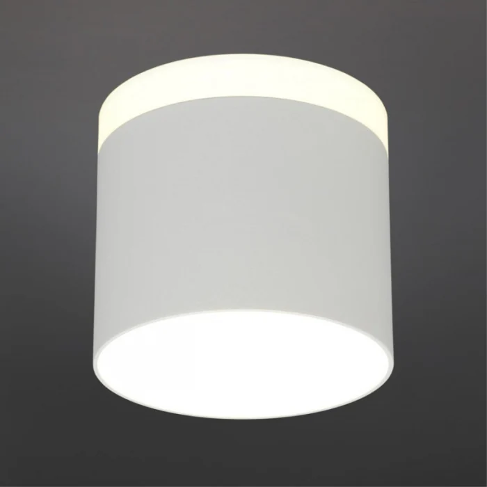 Светильник накладной Omnilux Tures OML-102309-16