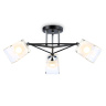 Потолочный светильник Ambrella light TR303072