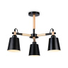 Потолочный светильник Ambrella Light Traditional TR82206