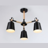 Потолочный светильник Ambrella Light Traditional TR82206
